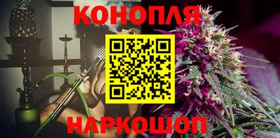 шишки Канаш