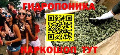 шишки Канаш