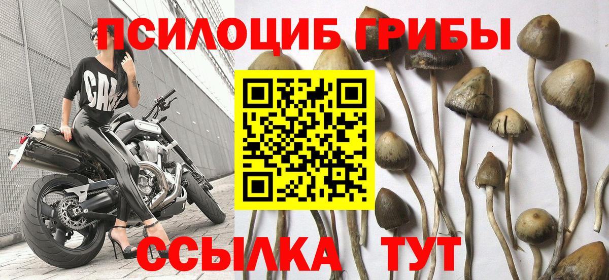 Гусь-Хрустальный  Галлюциногенные грибы GOLDEN TEACHER  где купить   Вход с VPN 
